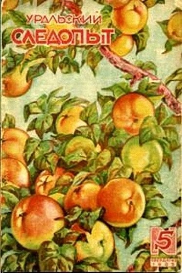 Обложка книги Механикус Ползунов